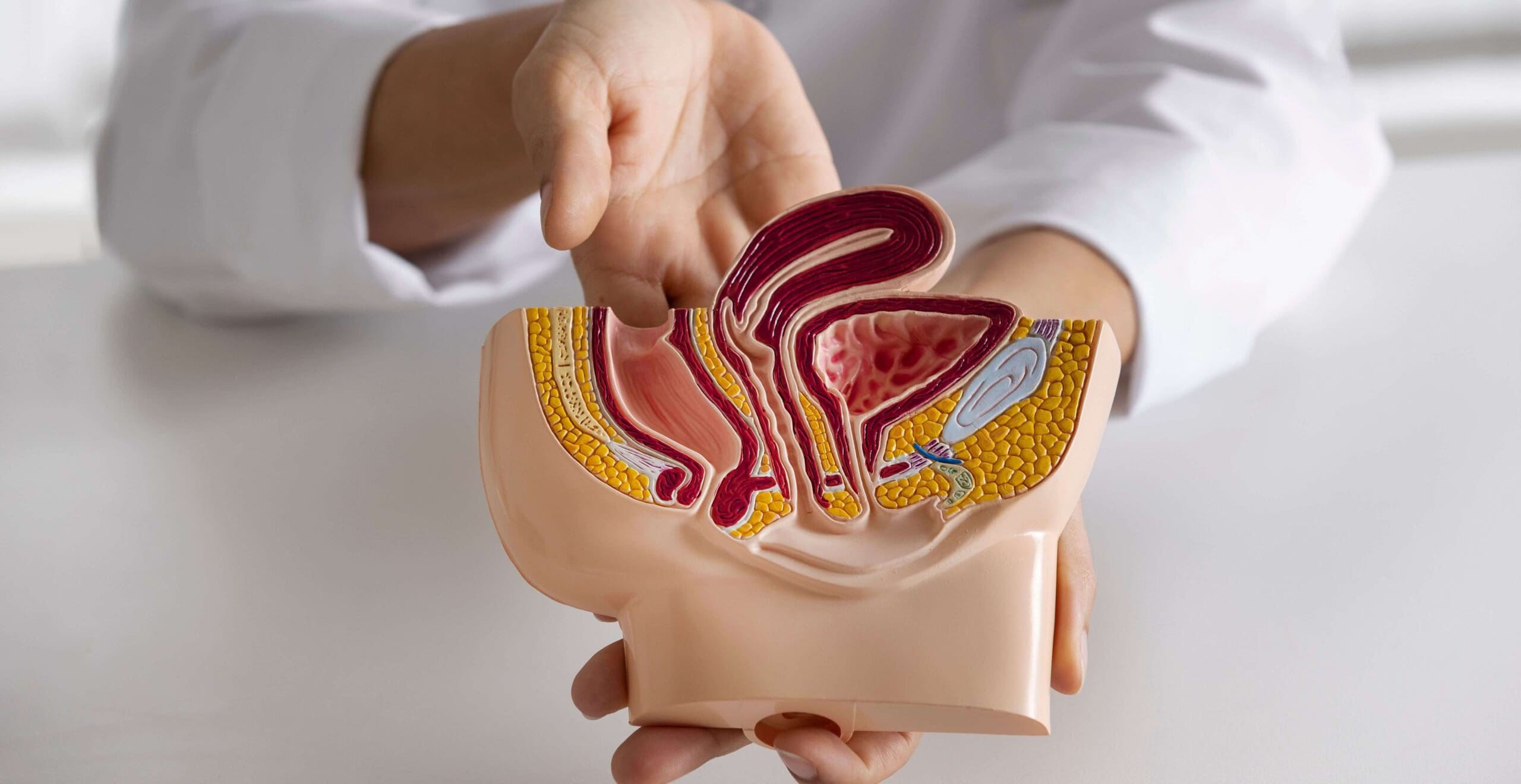 Entenda o câncer de próstata: do diagnóstico ao tratamento. Saiba como cuidar da saúde da próstata com acompanhamento de um urologista em Joinville.